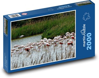 Růžoví plameňáci - jezero, ptáci - puzzle 2000 dílků