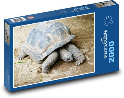 Obrie korytnačka - škrupina, plaz - Puzzle 2000 dielikov, rozmer 90x60 cm 