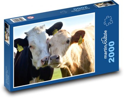 Kühe - Rinder, Tiere - Puzzle - 2000 Teile