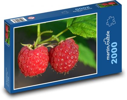 Raspberries - red fruit, food - Puzzle 2000 pieces, size 90x60 cm 