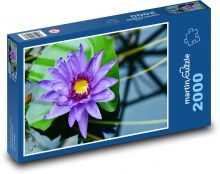 Fialový leknín - vodní rostlina, květ Puzzle 2000 dílků - 90 x 60 cm