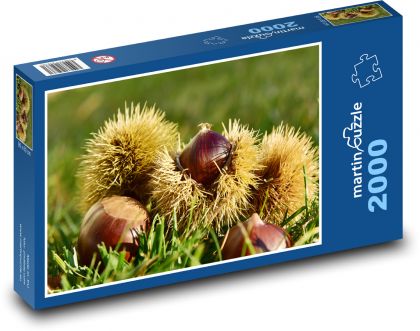 Kastanie - Herbst, Natur - Puzzle - 2000 Teile