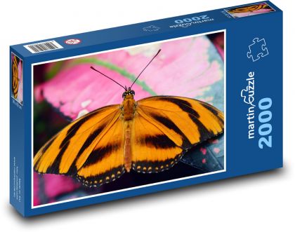 Orangefarbener Schmetterling - Flügel, Insekten - Puzzle - 2000 Teile