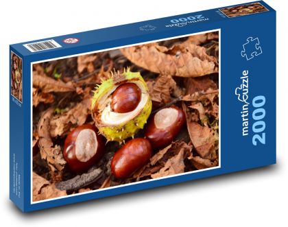 Kaštany - podzim, listy - puzzle 2000 dílků