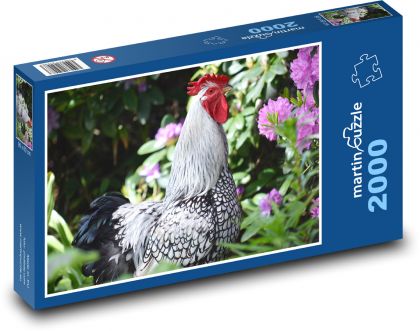 Rooster - pet, farm - Puzzle 2000 pieces, size 90x60 cm 