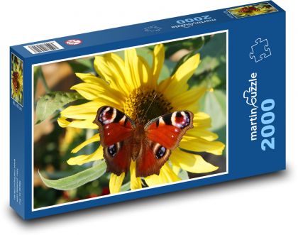 Motýl - slunečnice, květ - Puzzle 2000 dílků, rozměr 90x60 cm