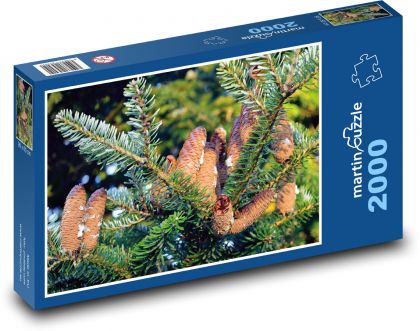 Borová šiška - jedľa, ihličnan - Puzzle 2000 dielikov, rozmer 90x60 cm 