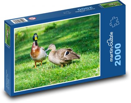 Duck and duck - Puzzle 2000 pieces, size 90x60 cm 