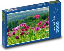 Vlčí mak - pole Puzzle 2000 dielikov - 90 x 60 cm