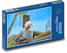 Pavian - grauer Affe Puzzle 2000 Teile - 90 x 60 cm