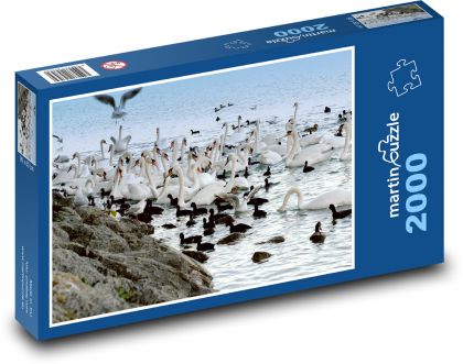 Łabędzie - ptaki, jezioro - Puzzle 2000 elementów, rozmiar 90x60 cm