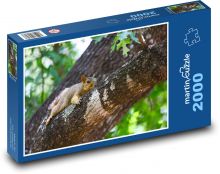 Veverka - hlodavec, dub Puzzle 2000 dílků - 90 x 60 cm