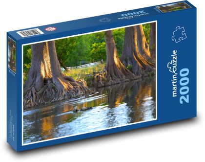 Cyprišový potok - řeka, stromy - Puzzle 2000 dílků, rozměr 90x60 cm