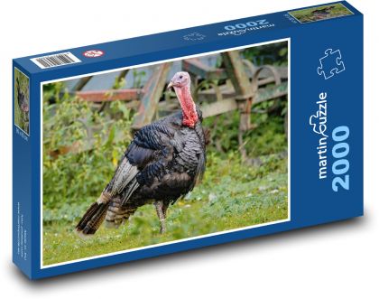 Krocan - pták, domácí drůbež - Puzzle 2000 dílků, rozměr 90x60 cm