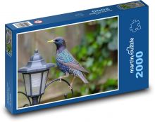 Špaček - pták, lampa Puzzle 2000 dílků - 90 x 60 cm