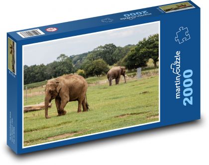 Sloni - safari, příroda - Puzzle 2000 dílků, rozměr 90x60 cm
