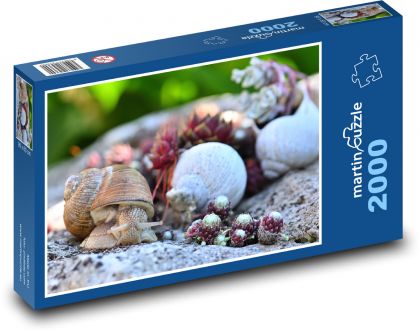Snail - crawling snail, shell - Puzzle 2000 pieces, size 90x60 cm 