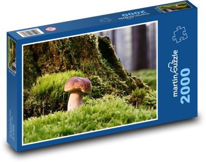 Mushroom - moss, forest - Puzzle 2000 pieces, size 90x60 cm 