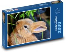 Kaninchen - süßes Baby, Tier Puzzle 2000 Teile - 90 x 60 cm
