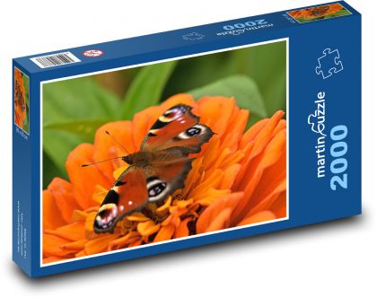 Motýl - paví očko, květ - Puzzle 2000 dílků, rozměr 90x60 cm
