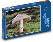 Pilz - Wald, Natur Puzzle 2000 Teile - 90 x 60 cm