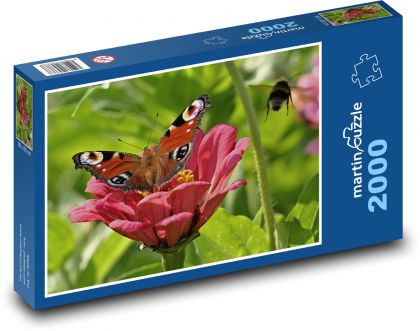 Motýľ - opeľovanie, hmyz - Puzzle 2000 dielikov, rozmer 90x60 cm 
