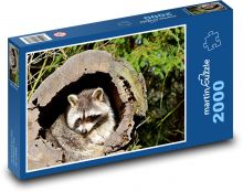 Raccoon - animal, tree Puzzle 2000 pieces - 90 x 60 cm