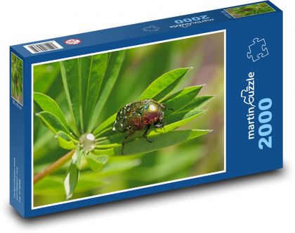 Bug - insects, dew - Puzzle 2000 pieces, size 90x60 cm 