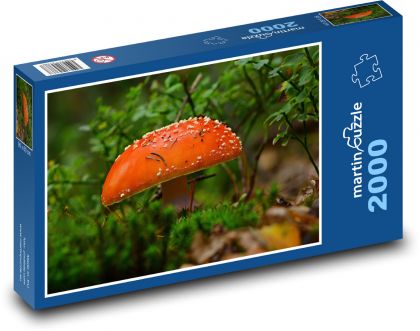 Muchomůrka - houba, les - Puzzle 2000 dílků, rozměr 90x60 cm
