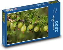 Angrešt - ovoce, rostlina Puzzle 2000 dílků - 90 x 60 cm