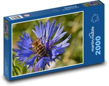 Modrá nevädza - včela, med Puzzle 2000 dielikov - 90 x 60 cm