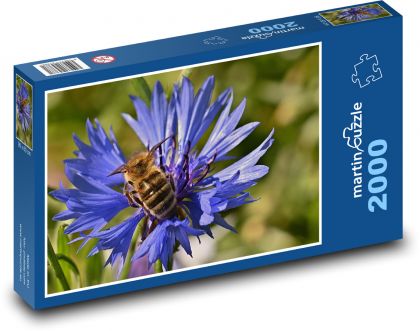 Modrá nevädza - včela, med - Puzzle 2000 dielikov, rozmer 90x60 cm 