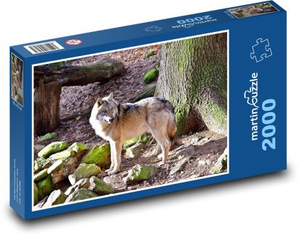 Vlk - divoká zvěř, příroda - Puzzle 2000 dílků, rozměr 90x60 cm