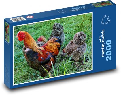 Kohút - sliepka, vták - Puzzle 2000 dielikov, rozmer 90x60 cm 