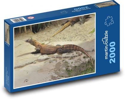 Ještěr - plaz, zvíře - puzzle 2000 dílků