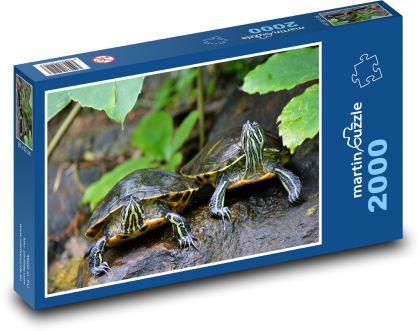 Schildkröten - Reptilien, Tiere - Puzzle - 2000 Teile