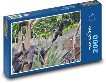 Opice - zoo, mládě - Puzzle 2000 dílků, rozměr 90x60 cm