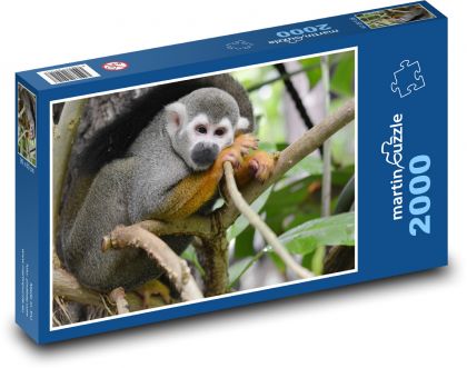 Monkey - cute, primate - Puzzle 2000 pieces, size 90x60 cm 