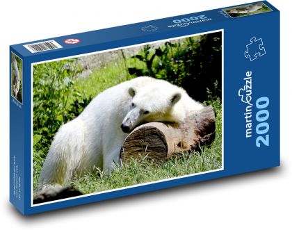 Lední medvěd - bílý, spát - Puzzle 2000 dílků, rozměr 90x60 cm
