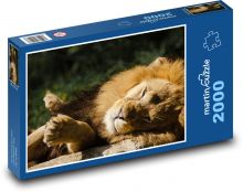 Lev - veľká mačka, hriva Puzzle 2000 dielikov - 90 x 60 cm