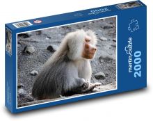 Baboon - monkey, primate Puzzle 2000 pieces - 90 x 60 cm