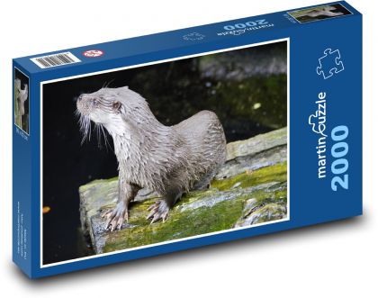 Otter - Wassertier, Wasser - Puzzle - 2000 Teile