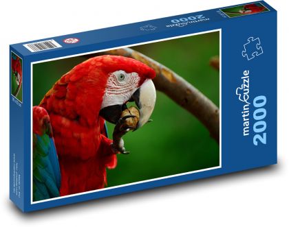 Ara - papagáj, červený vták - Puzzle 2000 dielikov, rozmer 90x60 cm 