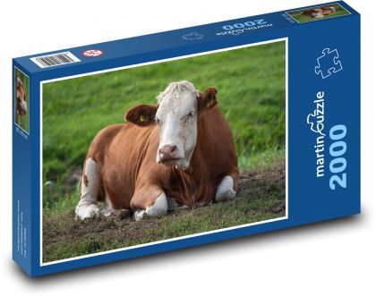 Krowa - zwierzę gospodarskie, łąka - Puzzle 2000 elementów, rozmiar 90x60 cm