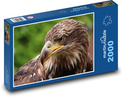 Adler - Raubtier, Vogel - Puzzle - 2000 Teile