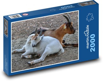 Domáce kozy - dobytok, rohy - Puzzle 2000 dielikov, rozmer 90x60 cm 