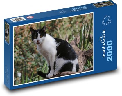 Kočka domácí - kotě, zvíře - Puzzle 2000 dílků, rozměr 90x60 cm