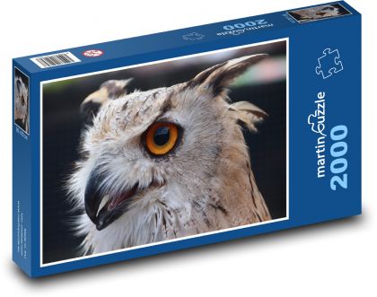 Výr - dravý pták, sova - puzzle 2000 dílků