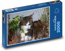 Kot - zwierzę domowe, zwierzę domowe Puzzle 2000 elementów - 90x60 cm