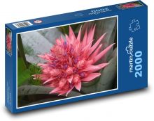 Bromelie - okrasný kvet, rastlina Puzzle 2000 dielikov - 90 x 60 cm